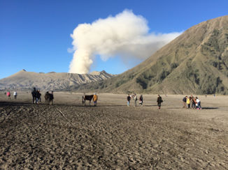 Java - Bromo vulkaan