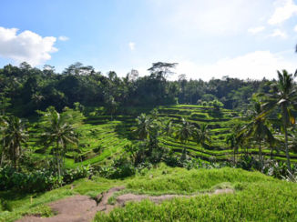 Bali