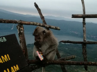 Bali - Mount Batur