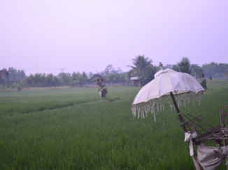 Bali - Offer plaats Ubud