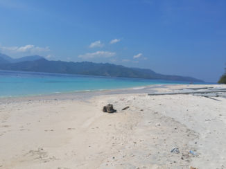 Bali - Gili meno
