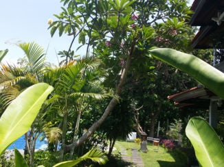 Bali - Sanur hotel wirasana