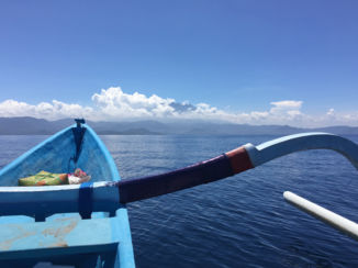 Indonesie - Op zoek naar dolfijnen