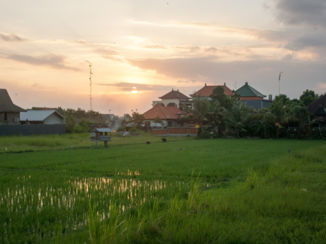 Indonesie - Rise fields in Bali