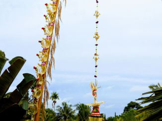 Bali - Penjor for Galungan