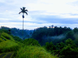 Bali - Camphuan Ridge walk