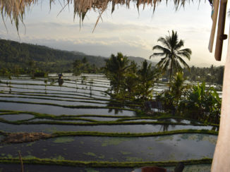 Bali - Het mooie Bali