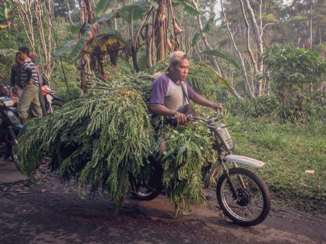 Indonesie - Passing through