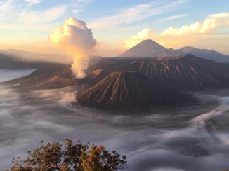 Indonesie - Bromo