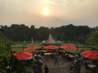 Indonesie - Botanischetuin Buitenzorg Bogor