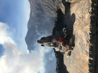 Indonesie - Hinu offering at Mount Bromo