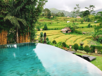 Bali - Sawah Indah Villa
