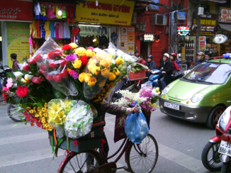 Indonesie - Kleurrijk Vietnam