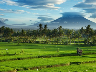 Bali - Mount Agung and rice fields