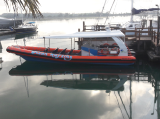 Bali - Dolfijnen kijken