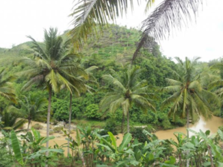 Yogyakarta - Shri getuk