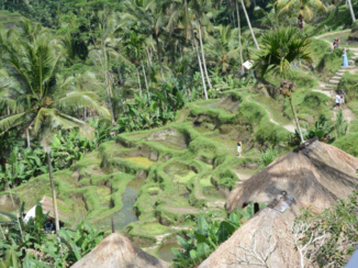 Rondreis Bali & Lombok - Schoonheid van rijstvelden