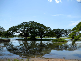Indonesie - Sri-Lanka