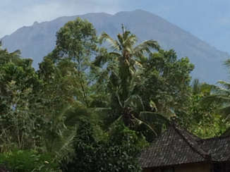 Rondreis Bali - 50 tinten groen in Tirtagangga