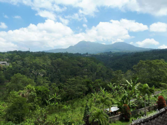 Bali - Jungle west Bali.