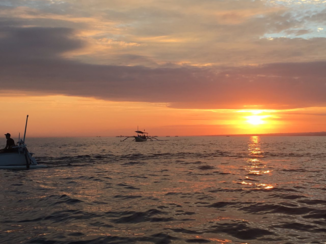 Bali - Zonsopgang bij de dolfijnen