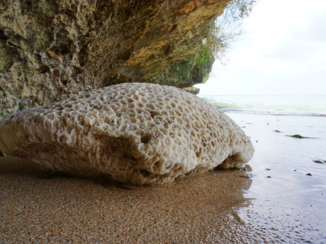 Bali - Padang padang beach