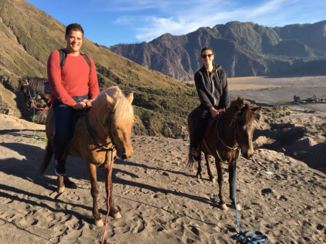 Java - Te paard de Bromo op