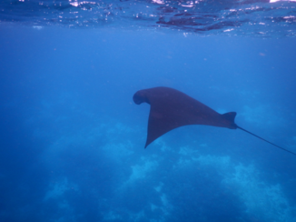 Komodo National Park