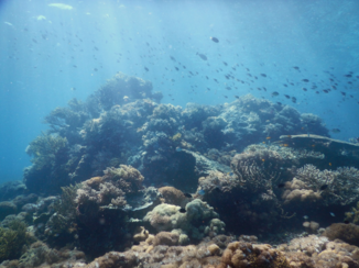 Komodo National Park