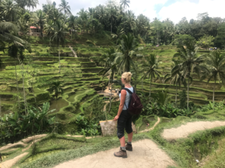 Bali - Rijstterassen Tegalalang
