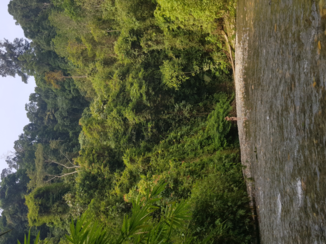 Sumatra - Uitzicht slaap plek  in jungle