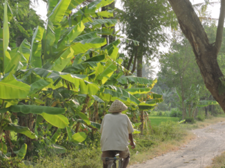 Karimunjawa Marine National Park - Yogyakarta.