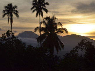 Sulawesi - Omgeving Tasikoki