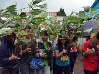 Sulawesi - Aanplant suikerpalmen, Project Willie Smits met plaatselijke bevolking