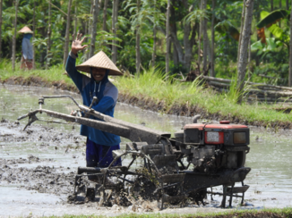 Indonesie - Land van de glimlach
