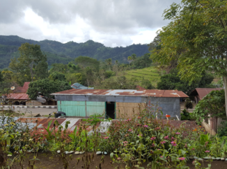 Indonesie - In de bergen op Flores
