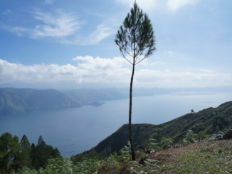 Sumatra