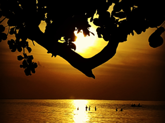 Lombok - pantai nipah