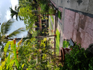 Bali - Wina holiday villa