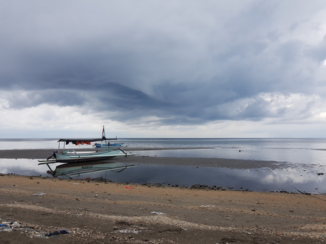 Komodo National Park - Levina beach