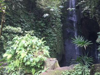 Bali - Waterfall