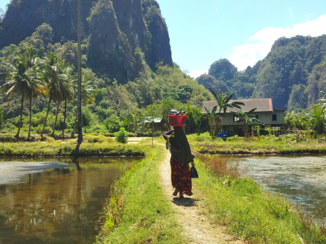 Indonesie - Karst mountains Rammang Rammang