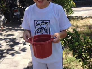 Bali - Free the turtles