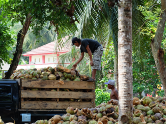 Rondreis Bali, Java & Lombok