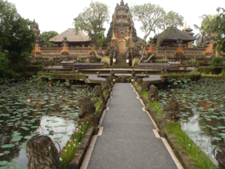 Bali - Ubud, het kunstzinnige hart van Bali