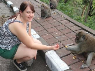 Bali - Aapjes voeren langs de weg