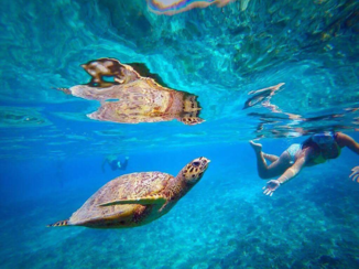 Gili-eilanden - Turtle point Gili T