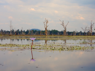 Rondreis Indonesië buiten de gebaande paden - in de binnenlanden van Cambodja in het gebied van Anhkor wat