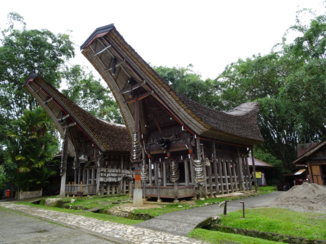 Indonesie - Traditionele huizen Toraja