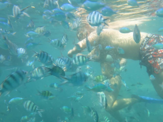 Karimunjawa Marine National Park